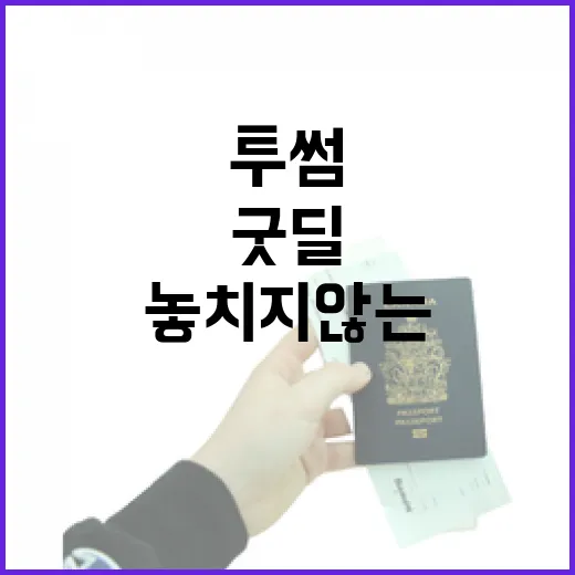 투썸의 굿딜을 놓치지 않는 방법 - 요약