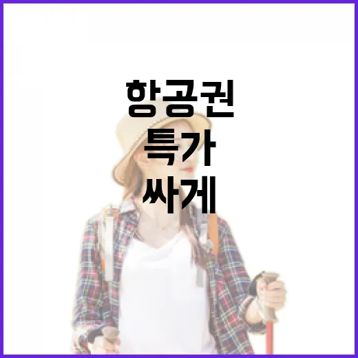 특가항공권 싸게 잡는 방법, 길치도 덜 헤매는 공항·동선 체크까지 - 요약