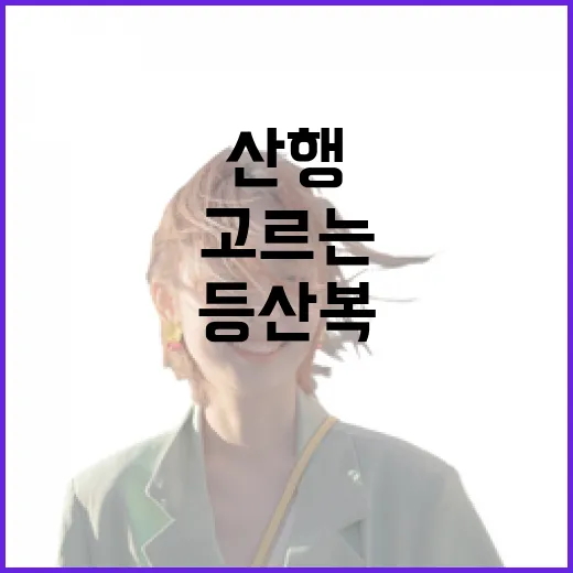 초보자가 등산복 고르는 방법, 집 앞 산부터 당일 산행까지 이렇게 입으면 편합니다 - 요약