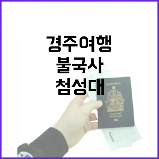 경주여행 동선 짜는 방법: 경주역에서 황리단길·첨성대·불국사까지 헤매지 않게 가기 - 요약
