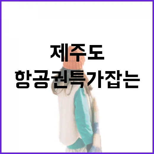 제주도항공권특가 잡는 방법, 공항 동선까지 헷갈리지 않게 보는 법 - 요약