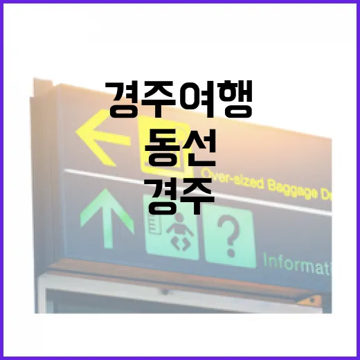 초보자를 위한 경주여행 동선 잡는 방법 - 요약