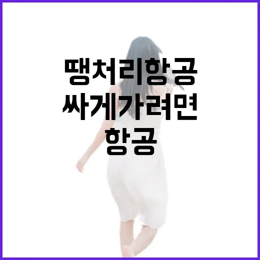 땡처리항공으로 싸게 가려면 이렇게 찾는 방법 - 요약