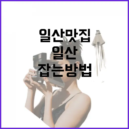일산맛집 처음 가려면 이렇게 동선 잡는 방법 - 요약
