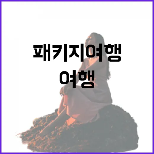 패키지여행 고르려면 이렇게 보면 덜 헤맵니다 - 요약