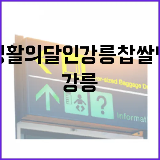 생활의달인 강릉 찹쌀떡 찾아가려면 이렇게 움직이면 편합니다 - 요약