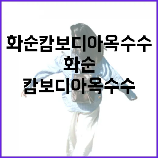 화순 캄보디아 옥수수 먹으러 가는 방법, 초행길도 덜 헤매는 동선 - 요약