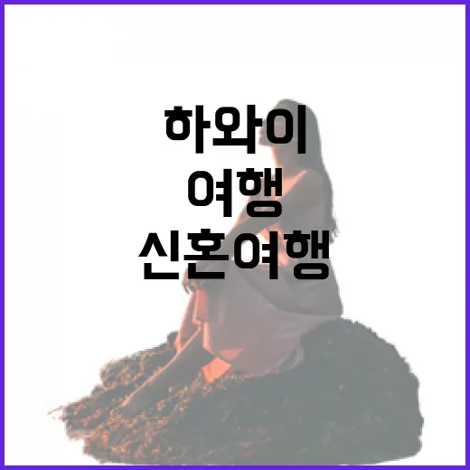 하와이신혼여행 가려면 이렇게 동선을 잡으면 덜 헤맵니다 - 요약