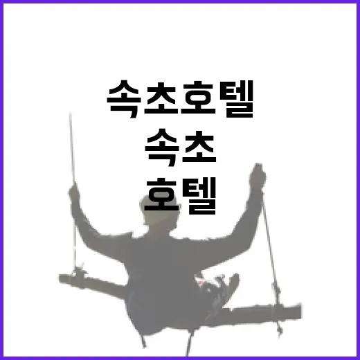 속초호텔 위치 고르는 방법, 해변·시장·항구 동선으로 이렇게 잡으면 편해요 - 요약