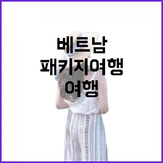 베트남패키지여행 처음 가려면 이렇게 고르면 덜 헤맵니다 - 요약
