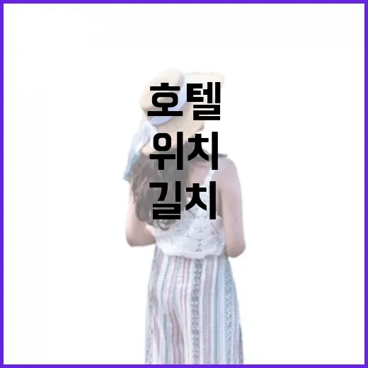 애견호텔 고르는 방법, 길치도 덜 헤매는 위치 체크 기준 - 요약