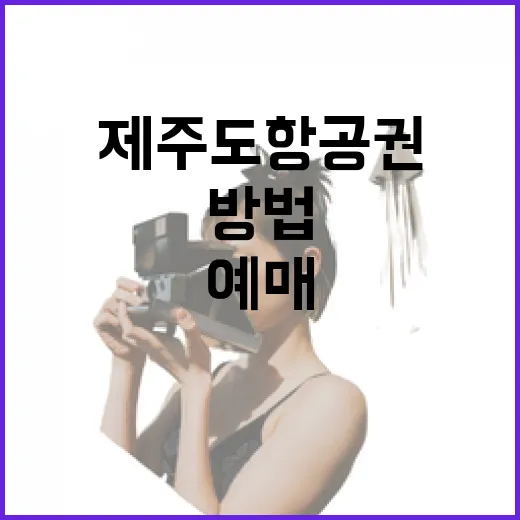제주도항공권예매 초보자가 덜 헤매고 잡는 방법 - 요약