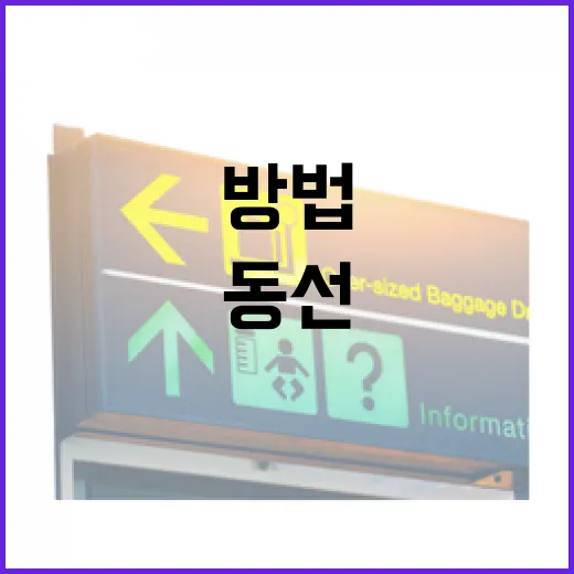 초보자를 위한 제주도관광 동선 짜는 방법, 공항 기준으로 이렇게 움직이면 덜 헤맵니다 - 요약