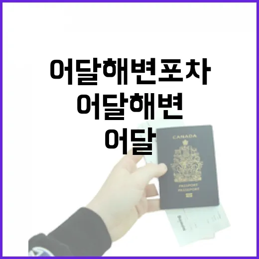 어달해변포차 가려면 이렇게 움직이면 덜 헤맨다 - 요약