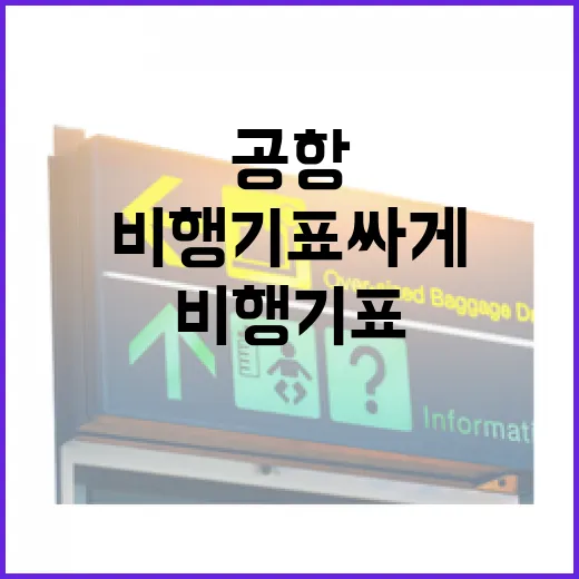 비행기표 싸게 사고 공항 동선까지 챙기는 방법 - 요약