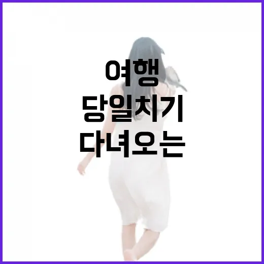 당일치기여행 초보자가 덜 헤매고 다녀오는 방법 - 요약