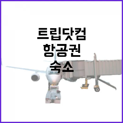 트립닷컴으로 숙소·항공권 예약하고 위치까지 확인하는 방법 - 요약