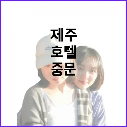 제주호텔 고르는 방법, 공항·해변·중문 중 어디에 잡아야 덜 헤맬까 - 요약
