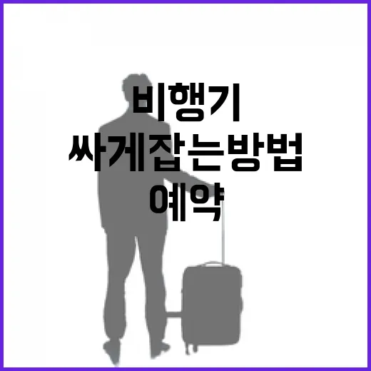 제주도비행기예약 초보자가 덜 헤매고 싸게 잡는 방법 - 요약