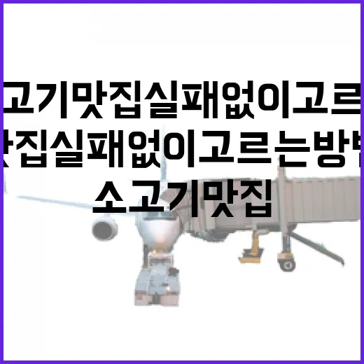 소고기맛집 실패 없이 고르는 방법, 위치와 동선까지 이렇게 보면 편합니다 - 요약