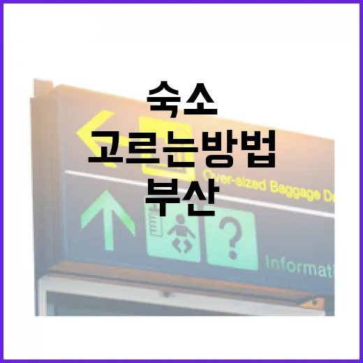 부산숙소 어디 잡을지 헷갈릴 때 동선으로 고르는 방법 - 요약
