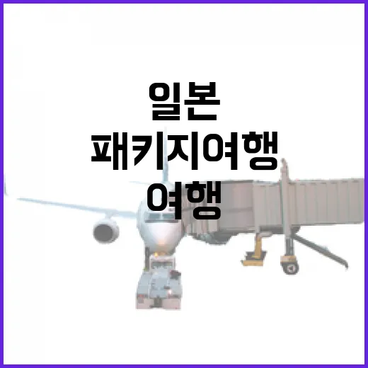 일본패키지여행 고르려면 이렇게 비교하면 덜 헤맵니다 - 요약