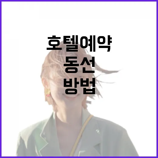 호텔예약 처음이라면 위치부터 동선까지 확인하는 방법 - 요약