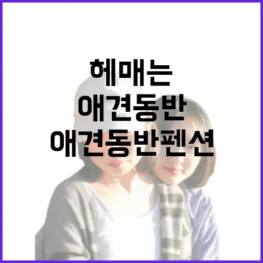 애견동반펜션 고르는 방법, 길치도 덜 헤매는 위치 확인 순서 - 요약
