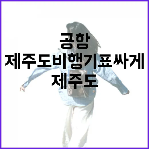 제주도비행기표 싸게 잡고 공항 동선까지 덜 헤매는 방법 - 요약
