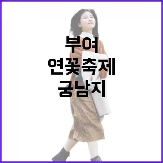 부여 연꽃축제 가려면 이렇게: 궁남지 동선과 주변 코스 잡는 방법 - 요약