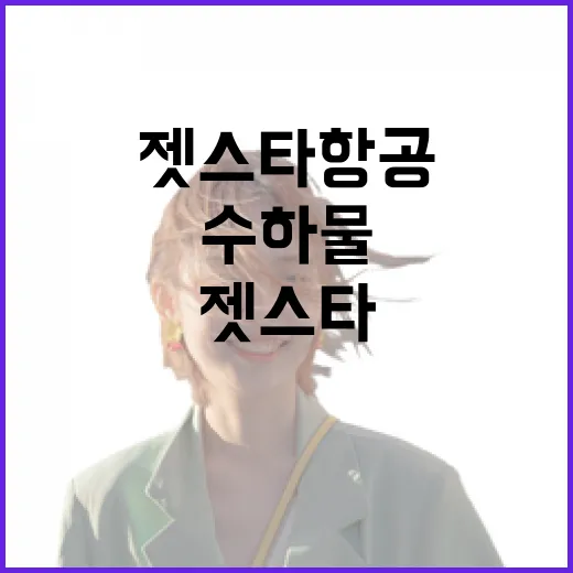 젯스타항공 처음 이용하는 방법: 공항 동선부터 수하물까지 헷갈리지 않게 가려면 이렇게 - 요약