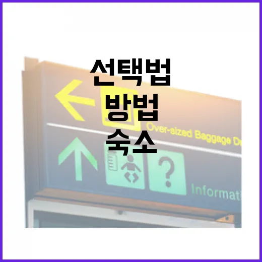 광안리숙소 고르는 방법, 길치도 덜 헤매는 위치별 선택법 - 요약