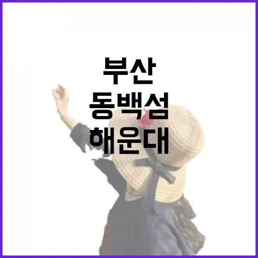 부산해운대숙소 고르는 방법, 해수욕장·해운대역·동백섬 위치별로 이렇게 잡으면 편합니다 - 요약