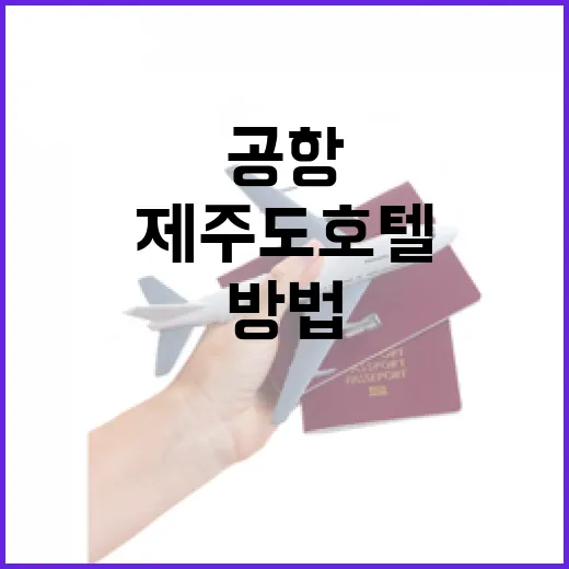 제주도호텔 고르는 방법, 공항부터 동선까지 덜 헤매려면 이렇게 - 요약