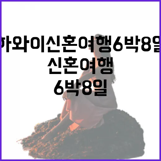 하와이신혼여행 6박 8일 동선 짜는 방법 - 요약