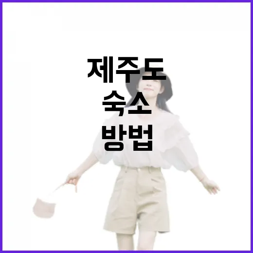 제주도숙소 고르는 방법, 동선 덜 꼬이게 잡으려면 이렇게 보세요 - 요약