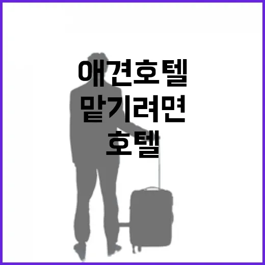 애견호텔 처음 맡기려면 이렇게 고르면 덜 헤맵니다 - 요약