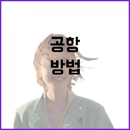 무안공항 가려면 이렇게 움직이면 덜 헤매는 방법 - 요약