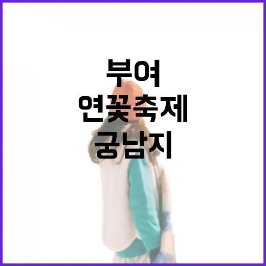 부여 연꽃축제 가는 방법, 궁남지 동선과 주변 코스는 이렇게 잡으면 편합니다 - 요약
