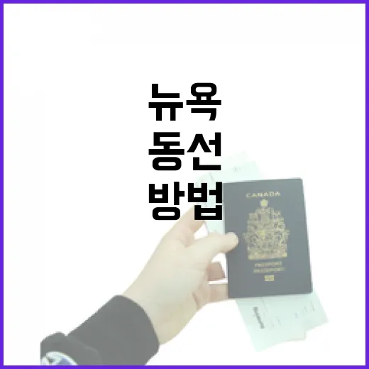 뉴욕여행 처음 가려면 이렇게 동선 잡는 방법 - 요약