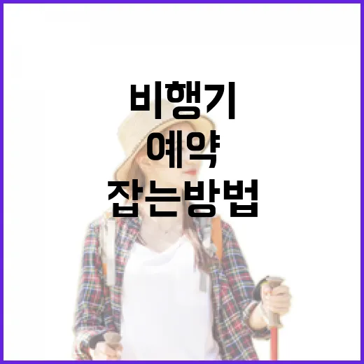 제주도비행기예약 처음이라면 이렇게 잡는 방법 - 요약