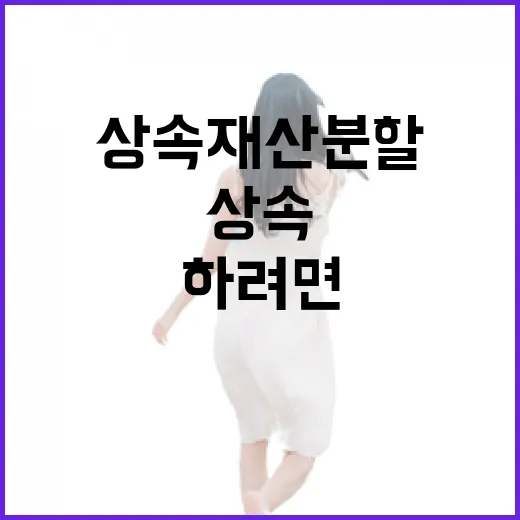 상속재산분할 하려면 이렇게 움직이면 덜 헤맵니다 - 요약