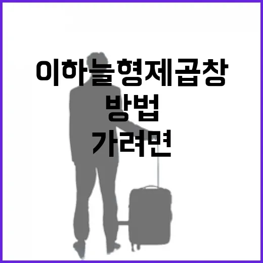 이하늘 형제곱창 가려면 이렇게 확인하고 움직이는 방법 - 요약