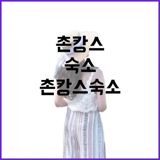 촌캉스숙소 고르는 방법, 길치도 편하게 가려면 이렇게 보세요 - 요약