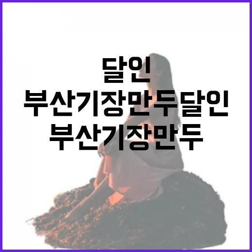 부산기장만두달인 찾아가려면 이렇게, 기장역부터 주변 코스까지 - 요약