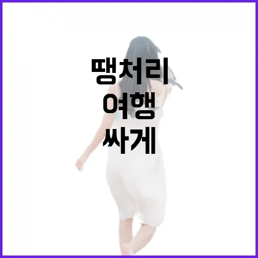 땡처리여행으로 싸게 떠나는 방법, 초보자는 이렇게 준비하세요 - 요약