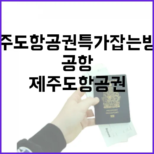 제주도항공권특가 잡는 방법, 공항 동선까지 덜 헤매려면 이렇게 - 요약