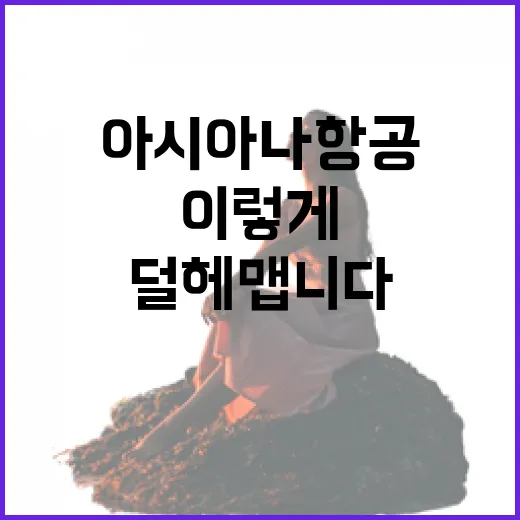 아시아나항공예약 처음이라면 이렇게 하면 덜 헤맵니다 - 요약