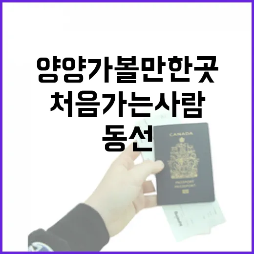 양양 가볼만한곳 처음 가는 사람이 동선 짜는 방법 - 요약