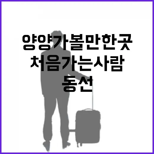 양양 가볼만한곳 처음 가는 사람도 덜 헤매는 동선 잡는 방법 - 요약